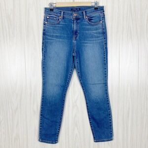 Level 99 | High Rise Skinny Jean Size 29